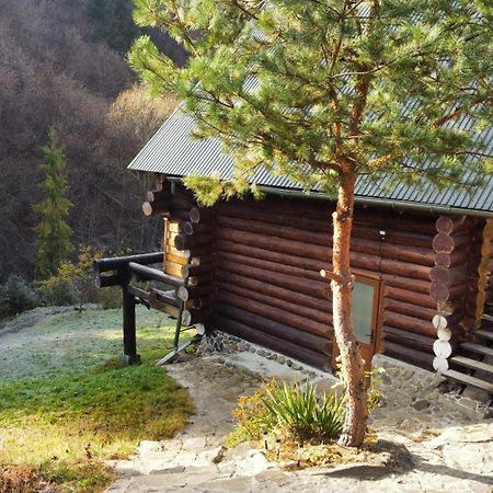 Bungalow In Mauntains With Chan Near The Forest Славске Екстериор снимка